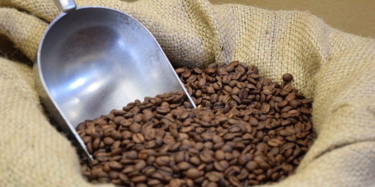 Single origin Arabica coffee beans from high-altitude farms in Eastern Uganda, grown by Deaf farmers