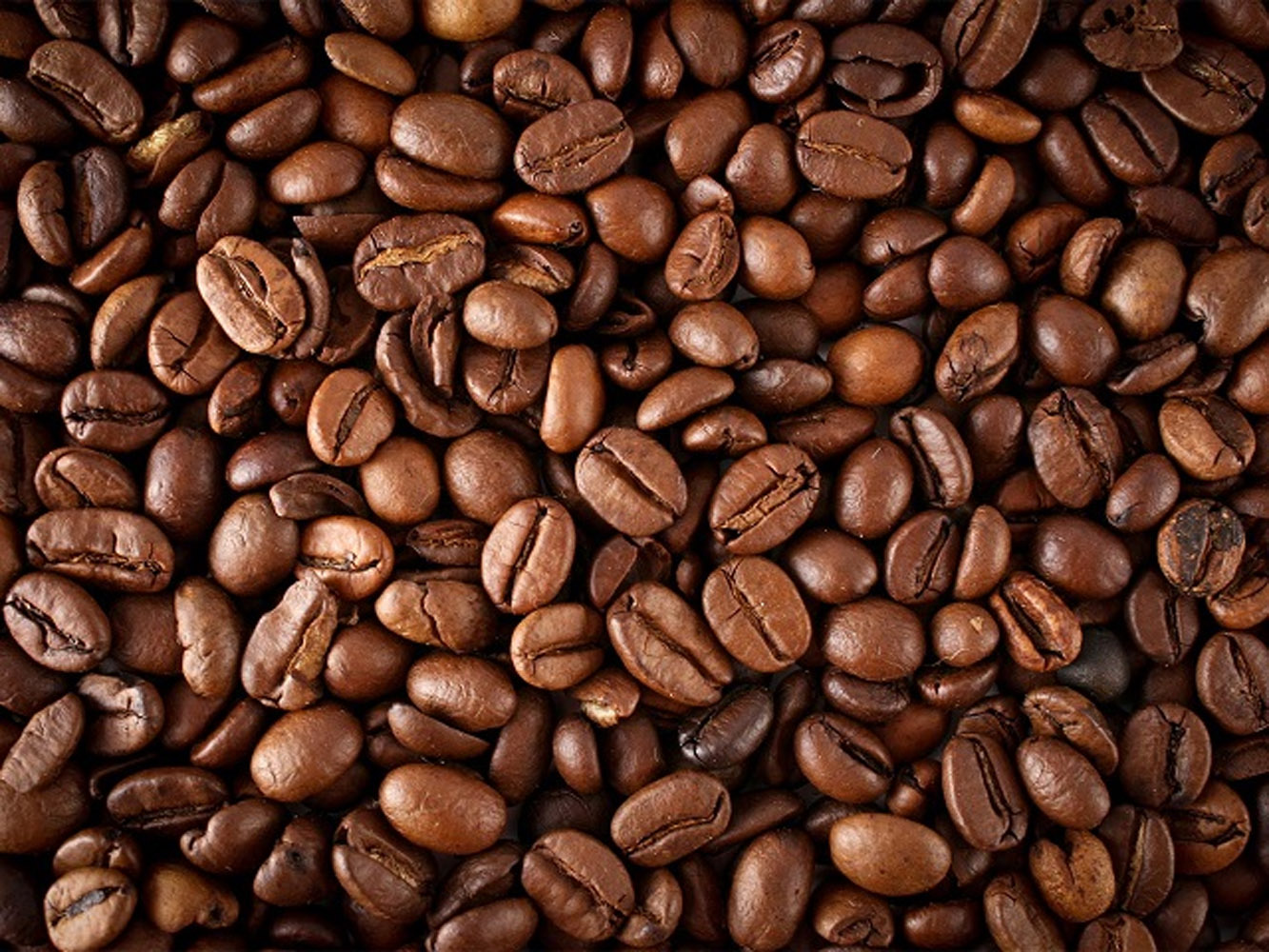 Premium blend coffee beans from Silent Café, ethically sourced from Deaf farmers in Eastern Uganda