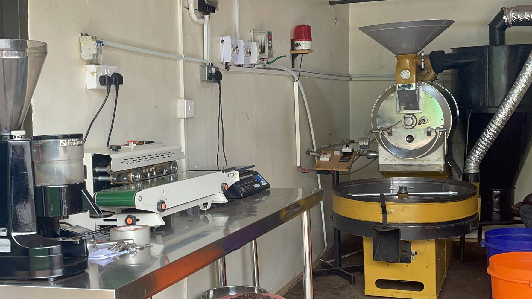 Hands holding roasted beans